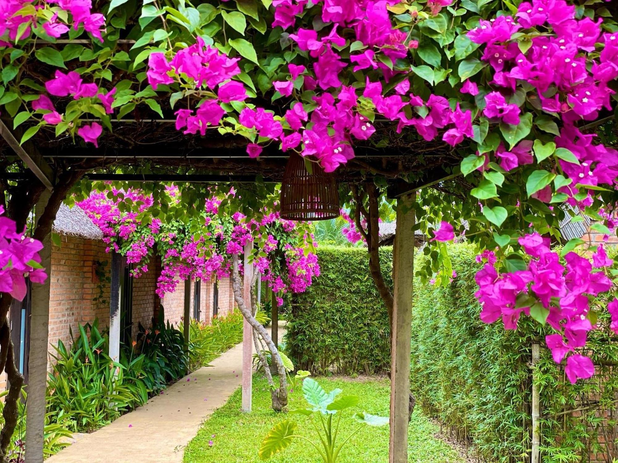 Enso Retreat Hoi An - Rediscovery & Serenity Exterior foto